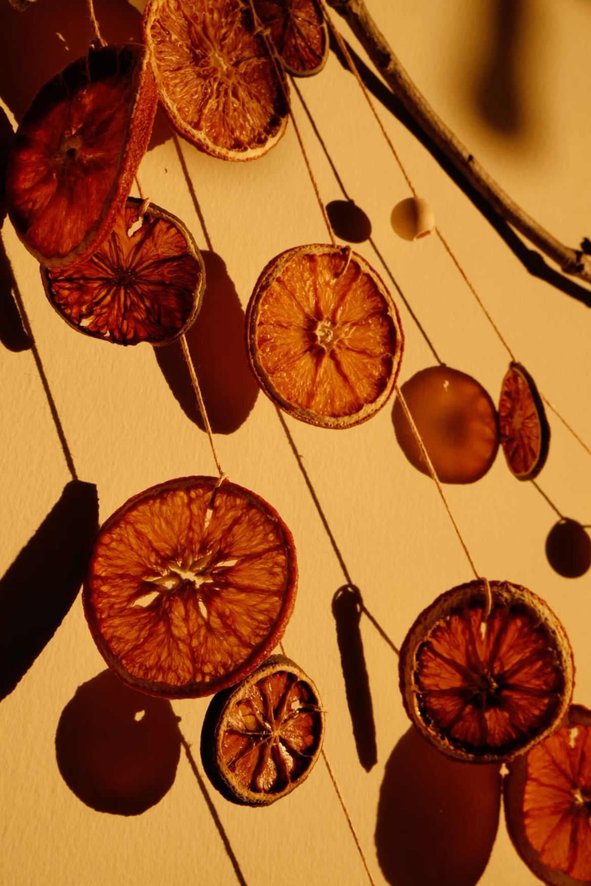 Citrus Essential Oils