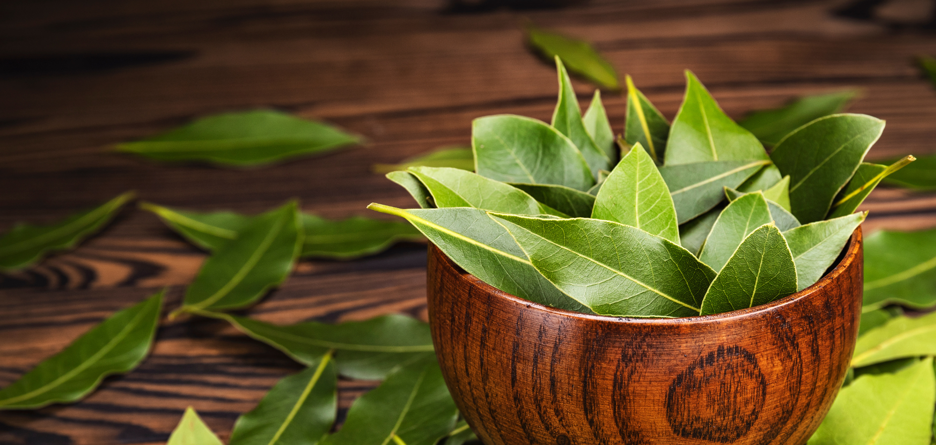 Spicy Essential Oils