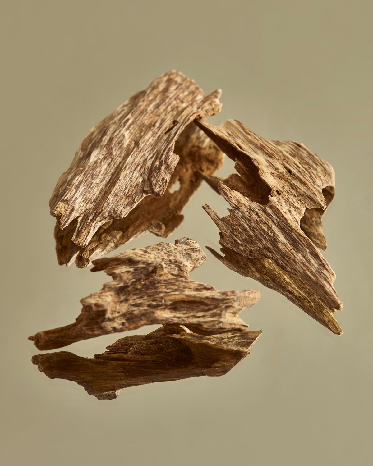 Woody Essential Oils