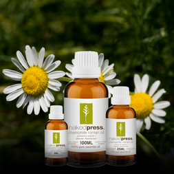 Chamomile Roman Essential Oil - 100% Pure (UK)