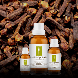 Clove Bud Essential Oil - 100% Pure (Indonesia)