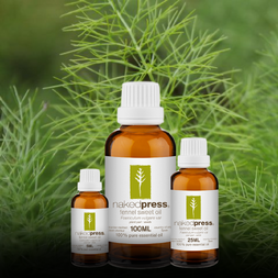 Fennel Sweet Essential Oil - 100% Pure (Spain)