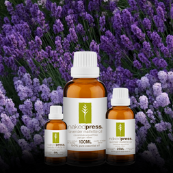 Lavender Maillette Essential Oil - 100% Pure (France)