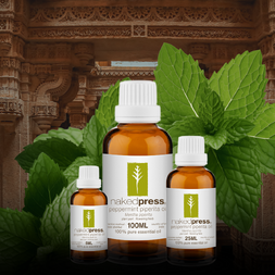 PEPPERMINT PIPERITA OIL (INDIA)