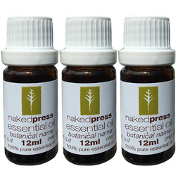 12ML x 3 - ROSALINA OIL (AUSTRALIA) - 100% PURE ESSENTIAL OIL (STEAM DISTILLED) - AROMATHERAPY GRADE - (MELALEUCA ERICIFOLIA)