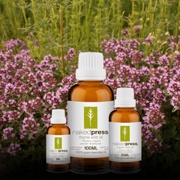 Thyme Wild Essential Oil - 100% Pure (Spain)