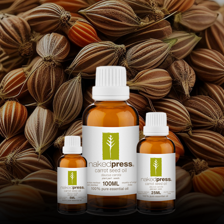 Carrot Seed Essential Oil - 100% Pure (India)