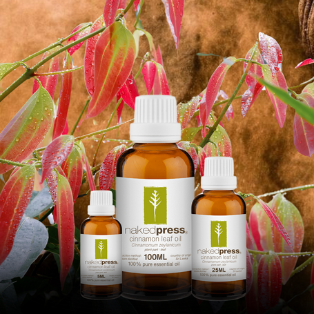 Cinnamon Leaf Essential Oil - 100% Pure (Sri Lanka)