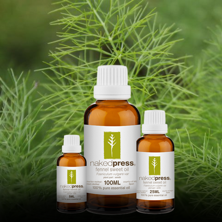 Fennel Sweet Essential Oil - 100% Pure (Spain)