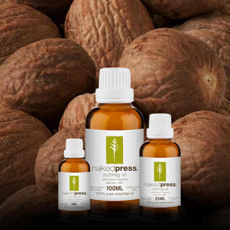 Nutmeg Essential Oil - 100% Pure (India)