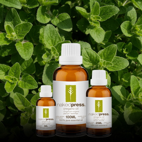 Oregano Essential Oil - 100% Pure (Spain)