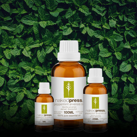 Peppermint Arvensis Essential Oil - 100% Pure (India)