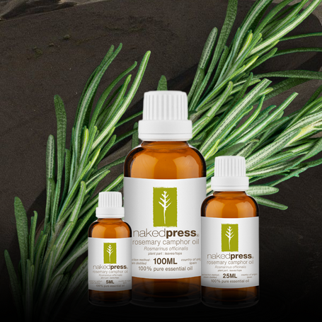 Rosemary Camphor Essential Oil - 100% Pure (Spain)