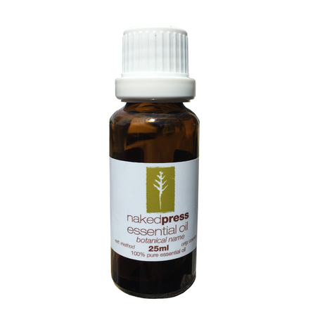 25ML - ROSEMARY CINEOLE OIL (SPAIN) - 100% PURE ESSENTIAL OIL (STEAM DISTILLED) - AROMATHERAPY GRADE - (ROSMARINUS OFFICINALIS)