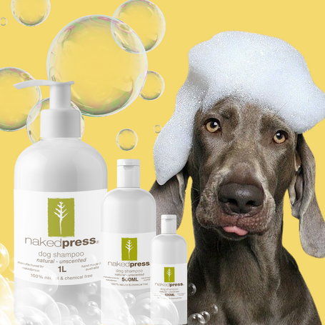 Dog Shampoo - 100% Natural Unscented (Palm Oil Free)