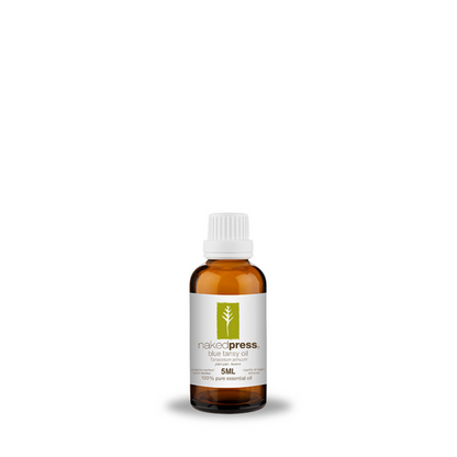 Blue Tansy Oil