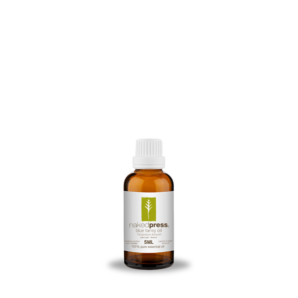 Blue Tansy Oil