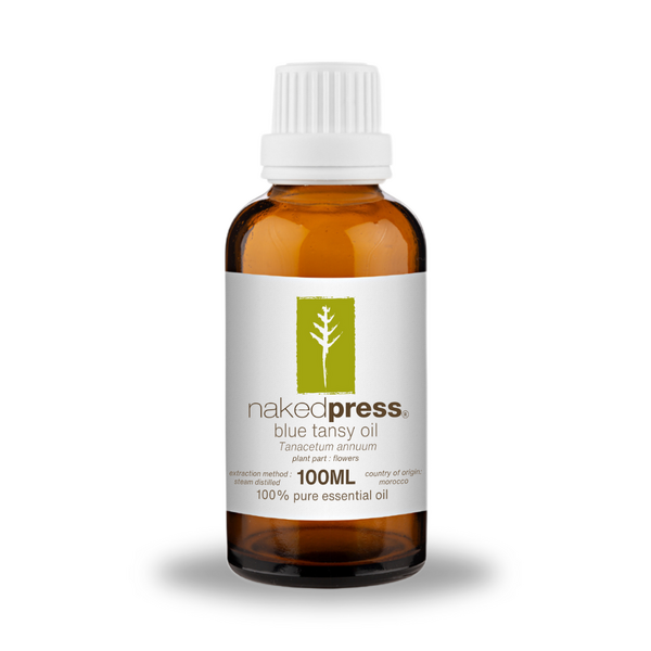 Blue Tansy Oil