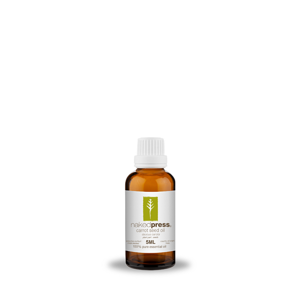 Carrot Seed Oil