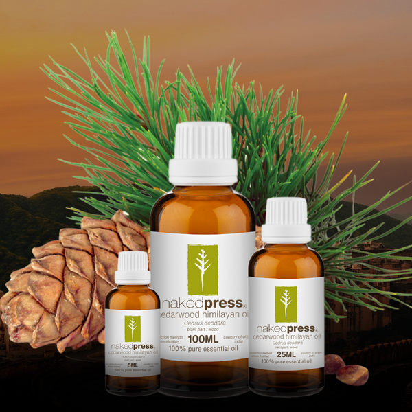 Cedarwood Himalayan Oil