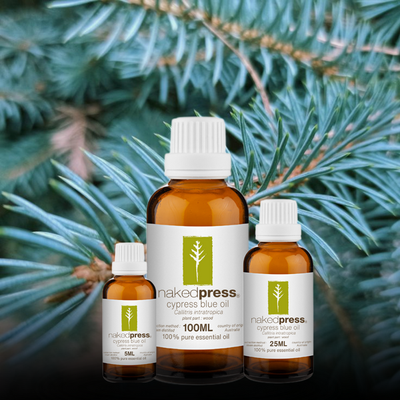 Cypress Blue Oil