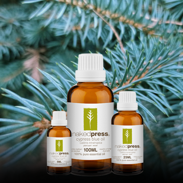 Cypress Blue Oil