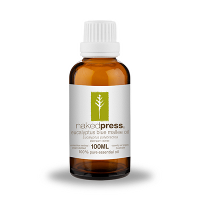 Eucalyptus Blue Mallee Oil