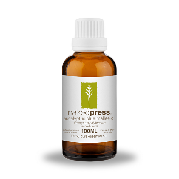 Eucalyptus Blue Mallee Oil