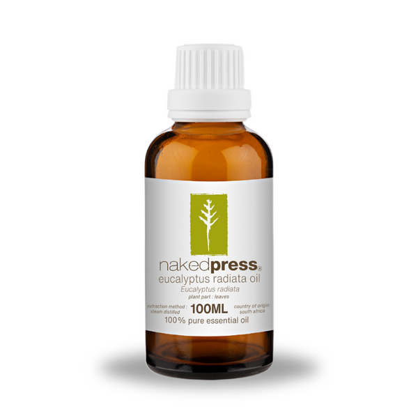 Eucalyptus Radiata Oil