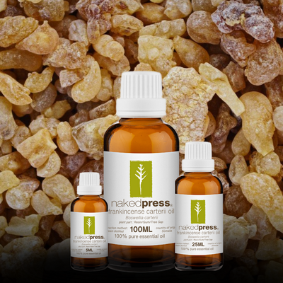 Three bottles of Frankincense Carterii Essential Oil in different sizes (100ml, 50ml, 25ml) displayed in front of a background of frankincense resin.