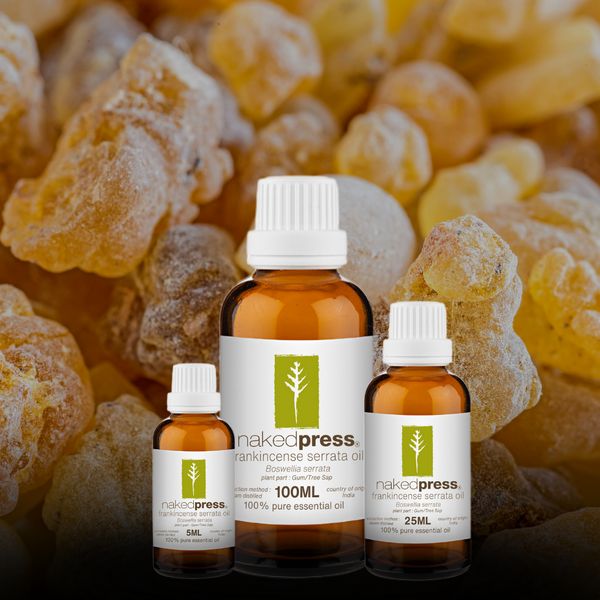 Frankincense Serrata Oil