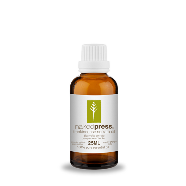 Frankincense Serrata Oil