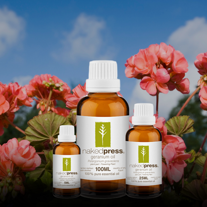Geranium Oil