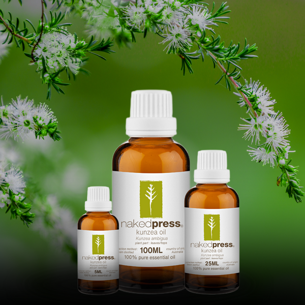 Kunzea Oil