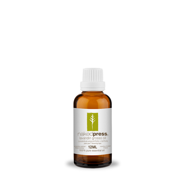 Lavandin Grosso Oil