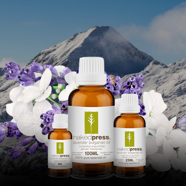 Lavender Bulgarian Oil