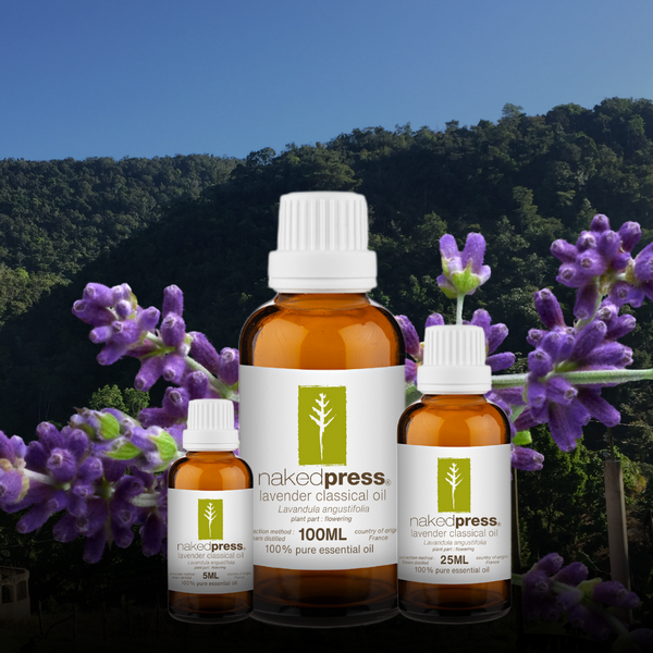 Lavender Classical Oil