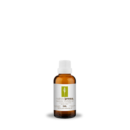 Lavender Maillette Oil