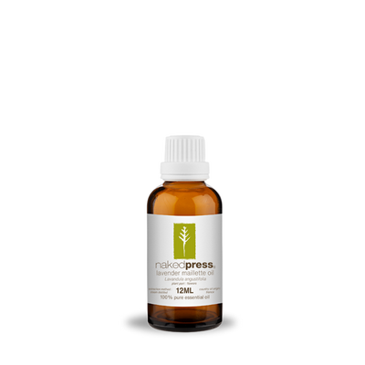 Lavender Maillette Oil