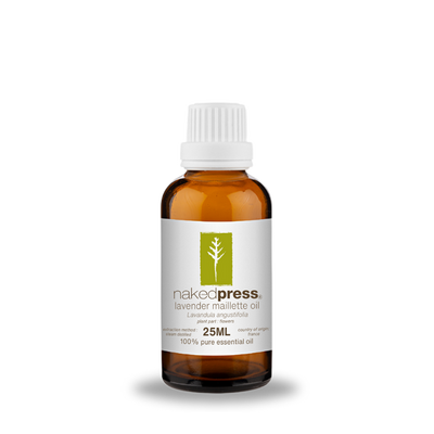 Lavender Maillette Oil