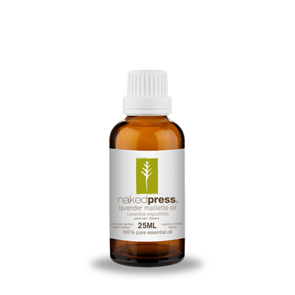 Lavender Maillette Oil