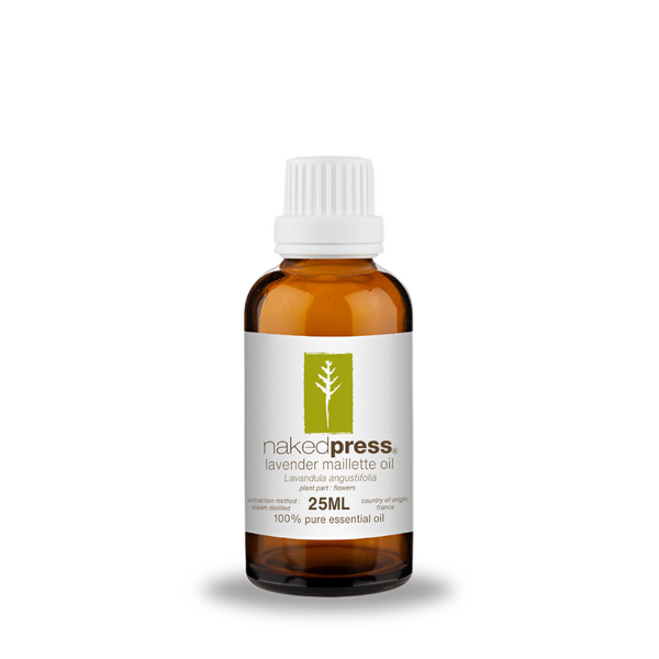 Lavender Maillette Oil