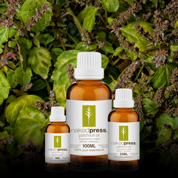 Patchouli Oil