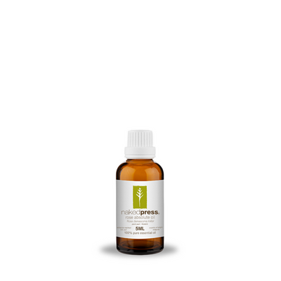 Rose Absolute Oil