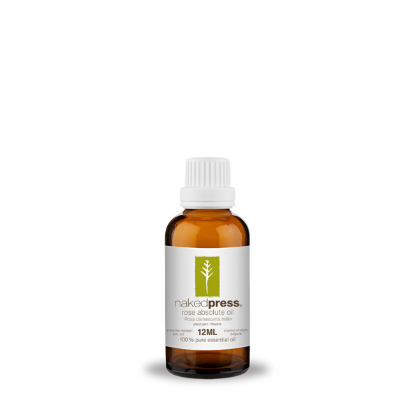Rose Absolute Oil