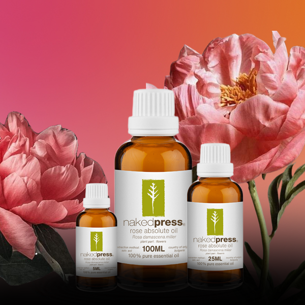 Rose Absolute Oil