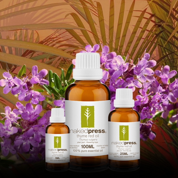 Thyme Red Oil