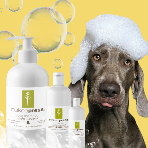 Natural Dog Shampoo Scented