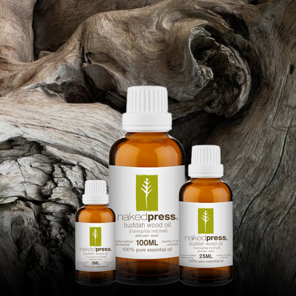 Buddha Wood Oil