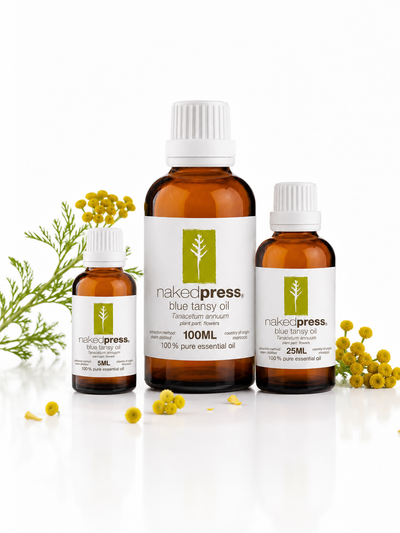 Blue Tansy Oil